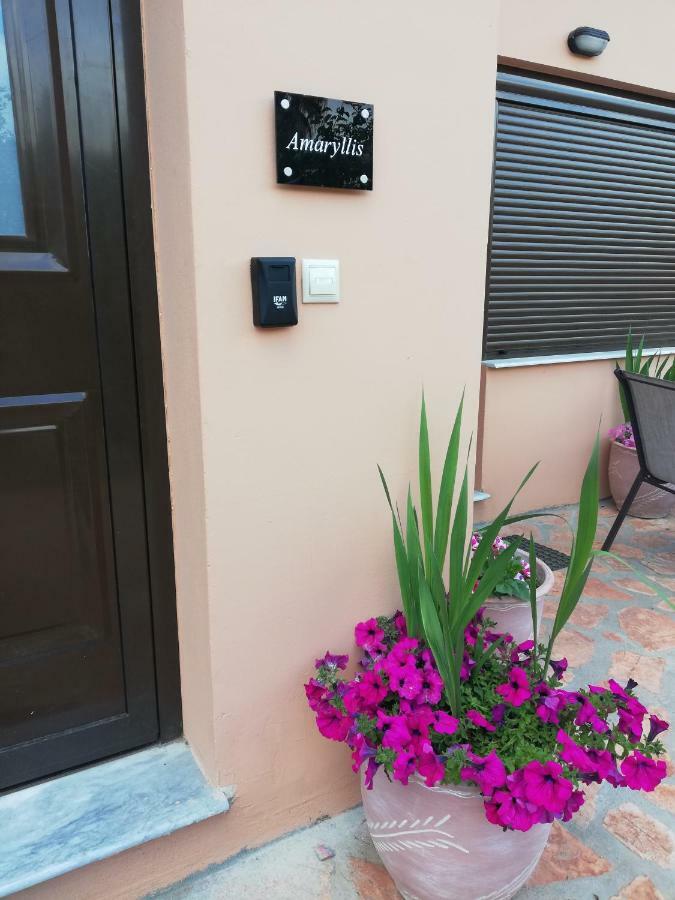 Dimitra - Loft Apartments Corfu  Exterior foto